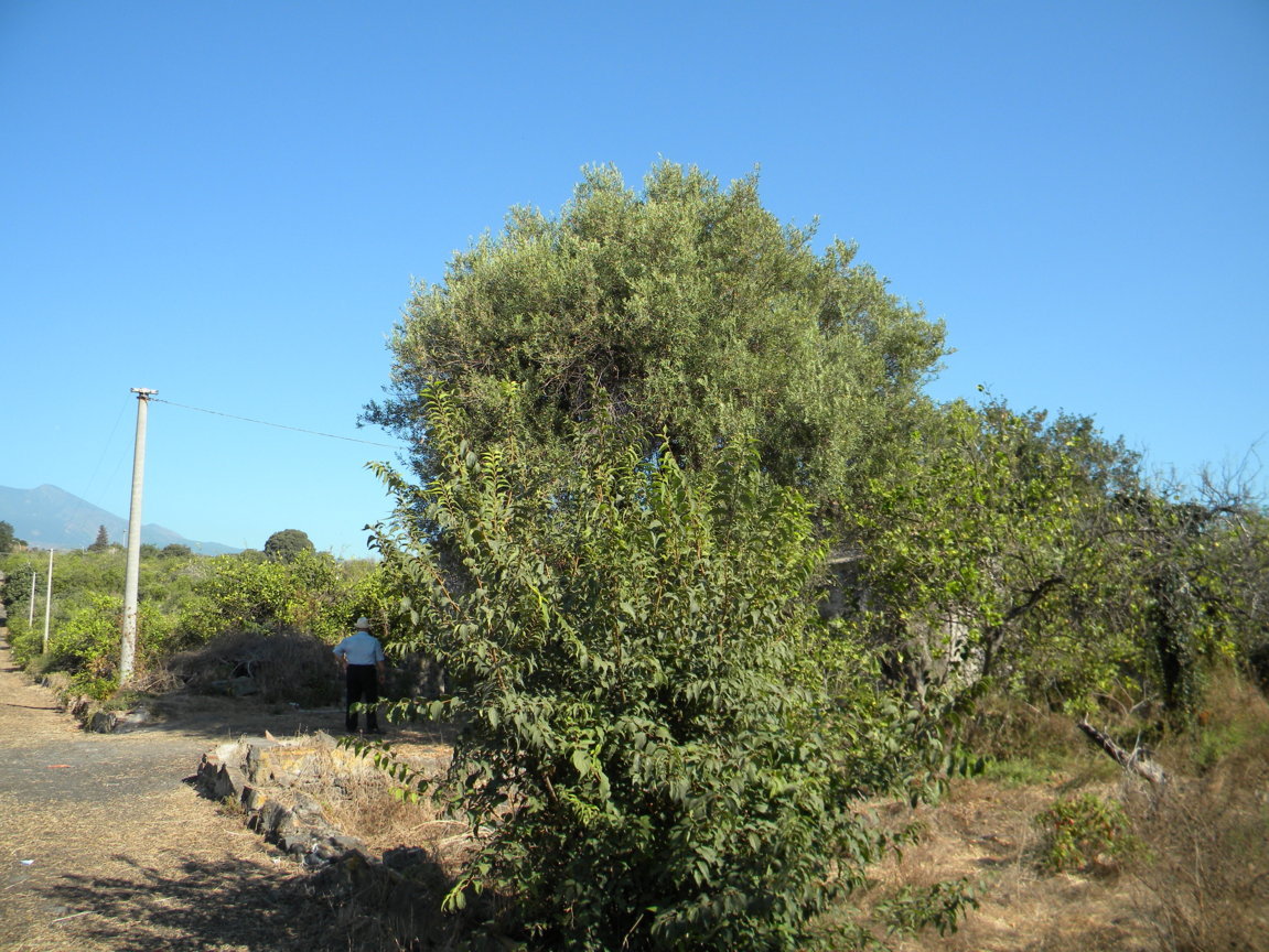 DSCN8161 .JPG